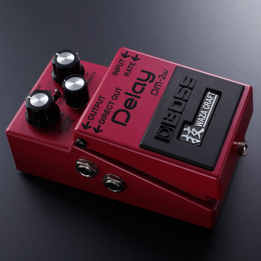 DM-2W(J) アナログディレイ DM-2W