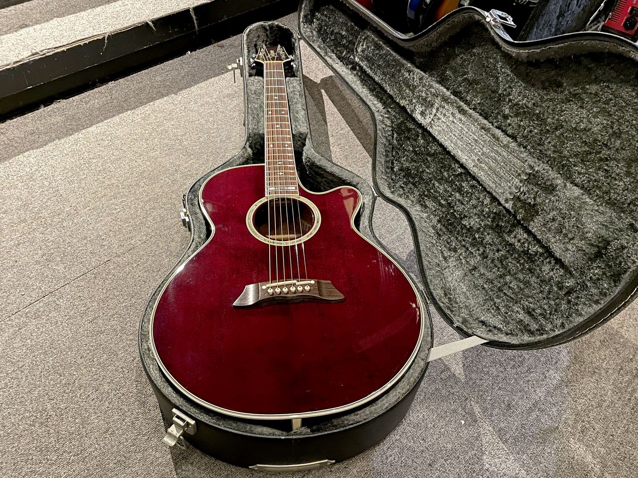 Takamine TRE110(お客様お取り置き品)（中古）【楽器検索デジマート】