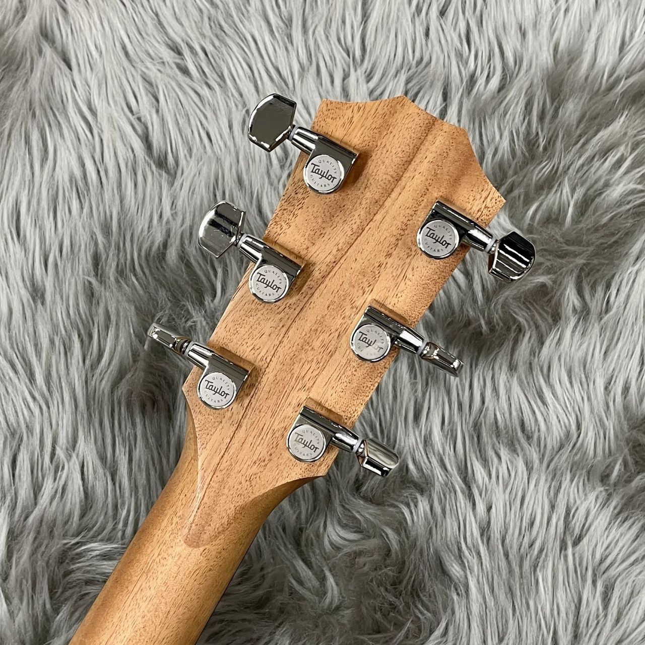 Taylor 214ce Plus RW/SP【現物写真】（新品特価/送料無料）【楽器検索