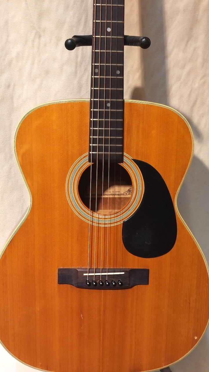 Greco F-100（中古）【楽器検索デジマート】