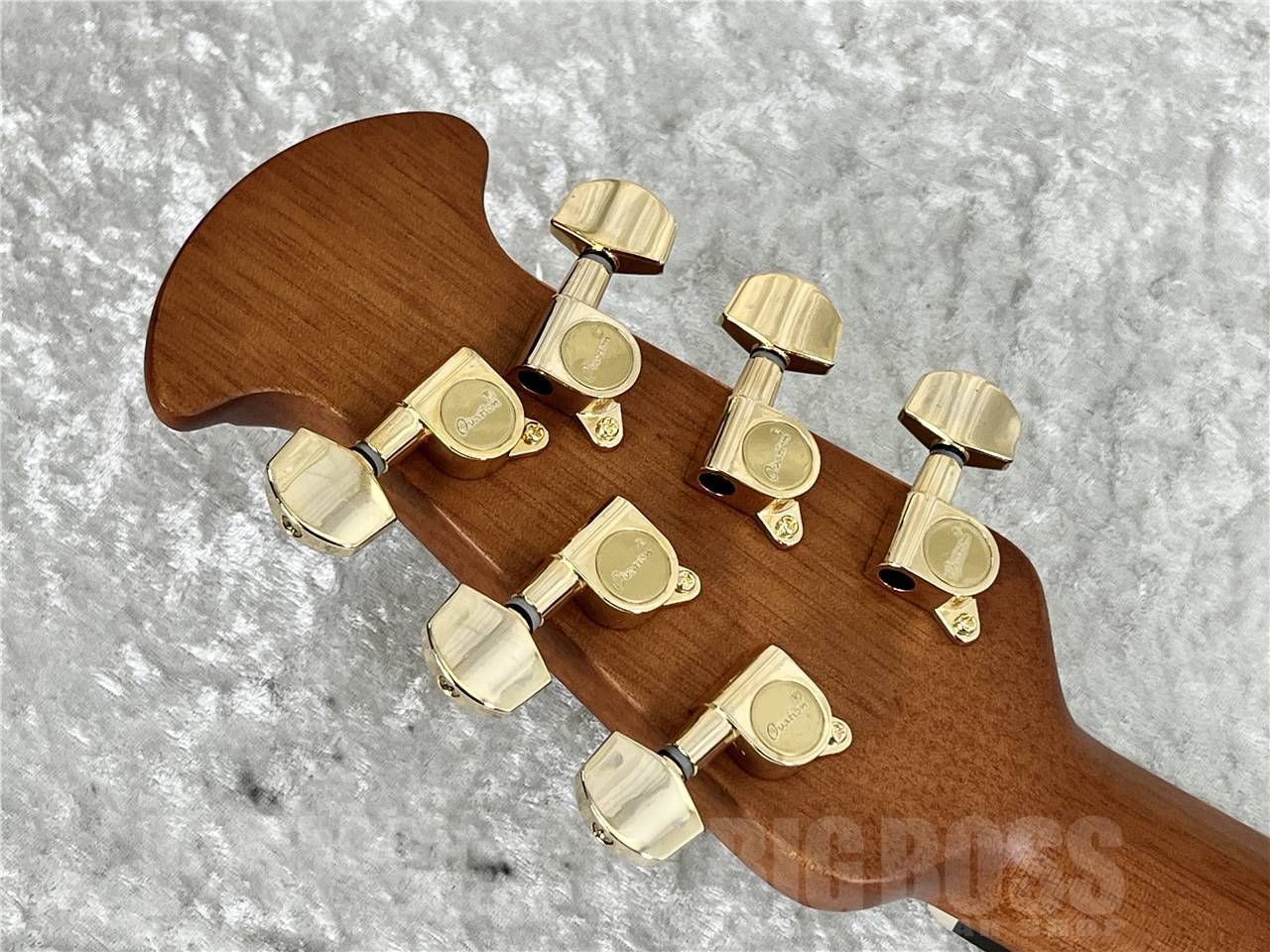 Ovation Celebrity Elite Plus CE44P-SM-G（新品/送料無料）【楽器検索