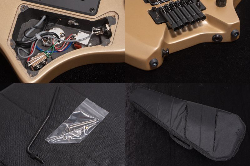 HEX Guitars N500P S/SS（新品/送料無料）【楽器検索デジマート】