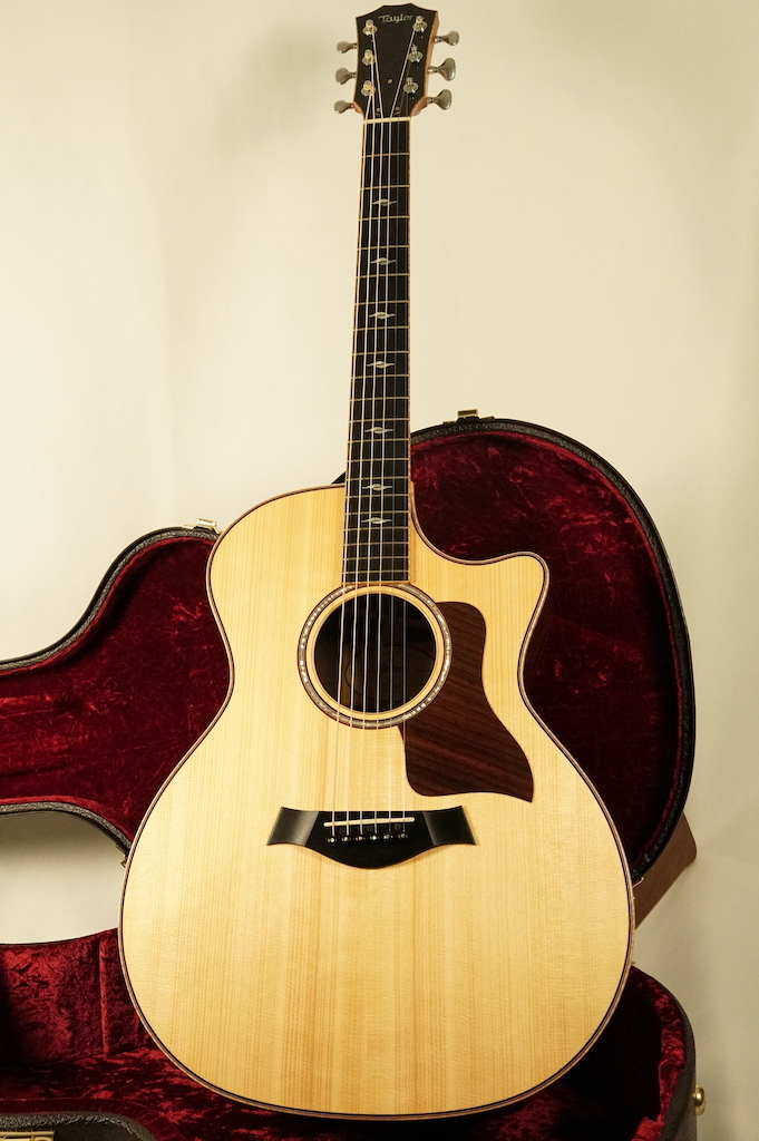 アプローズギター スプルース ボディ【中古品】 Taylor CTM GA Brazilian Rosewood 【アディロンダックスプルース