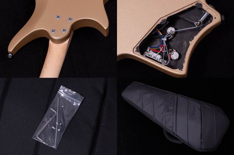 HEX Guitars NS100M S/SS（新品/送料無料）【楽器検索デジマート】
