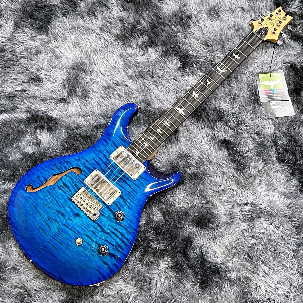 Paul Reed Smith(PRS) CE 24 Semi-Hollow Custom Configuration