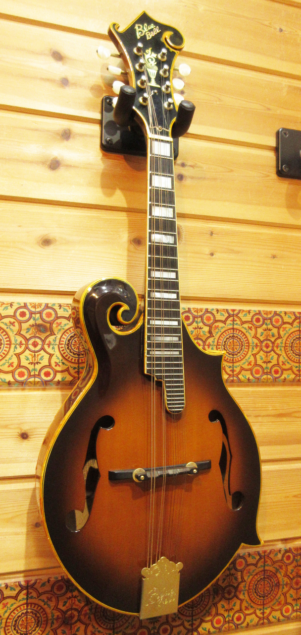 【アール】Blue Bell F-8 1978年製　フラットマンドリン BlueBell F-8 【70年代】（ビンテージ）【楽器検索デジマート】