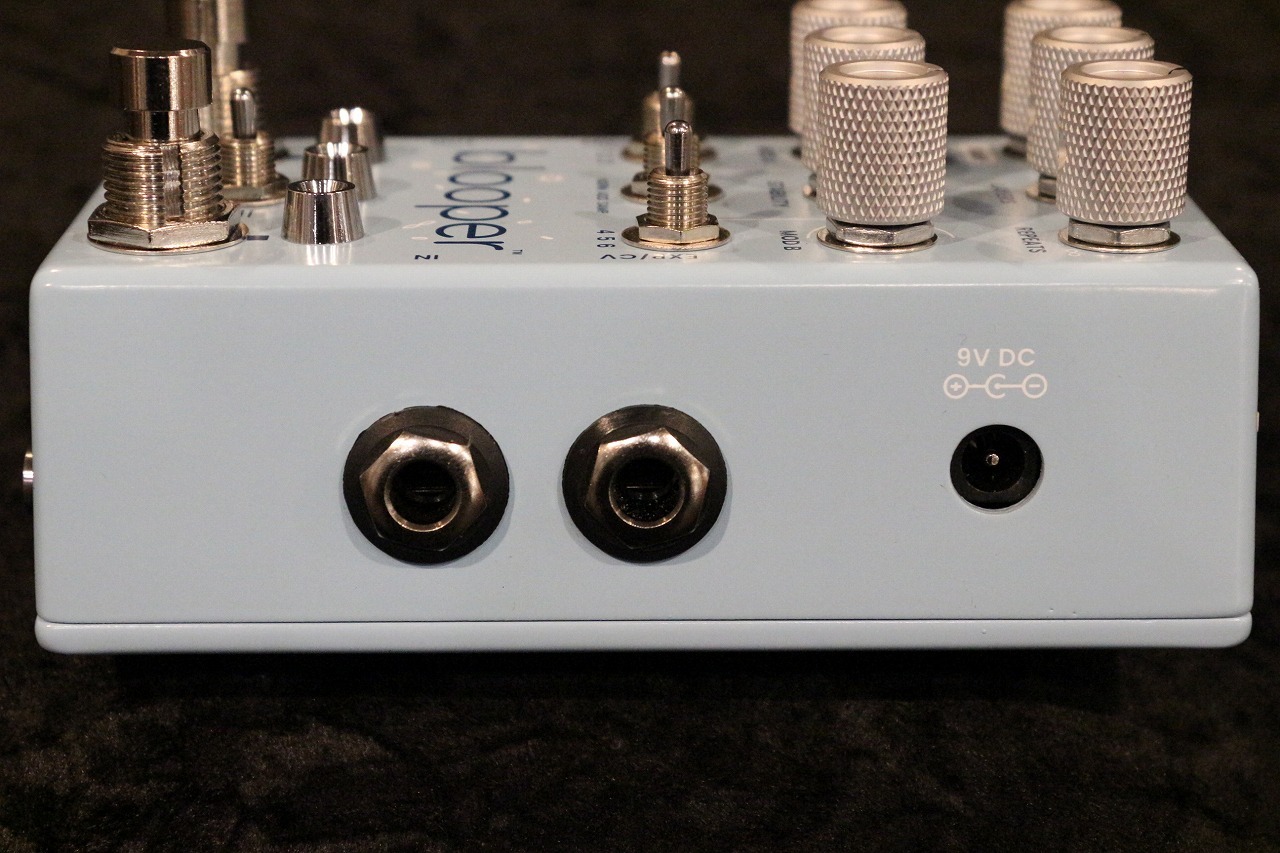 Chase Bliss Audio blooper -Bottomless Looper-【音楽的で