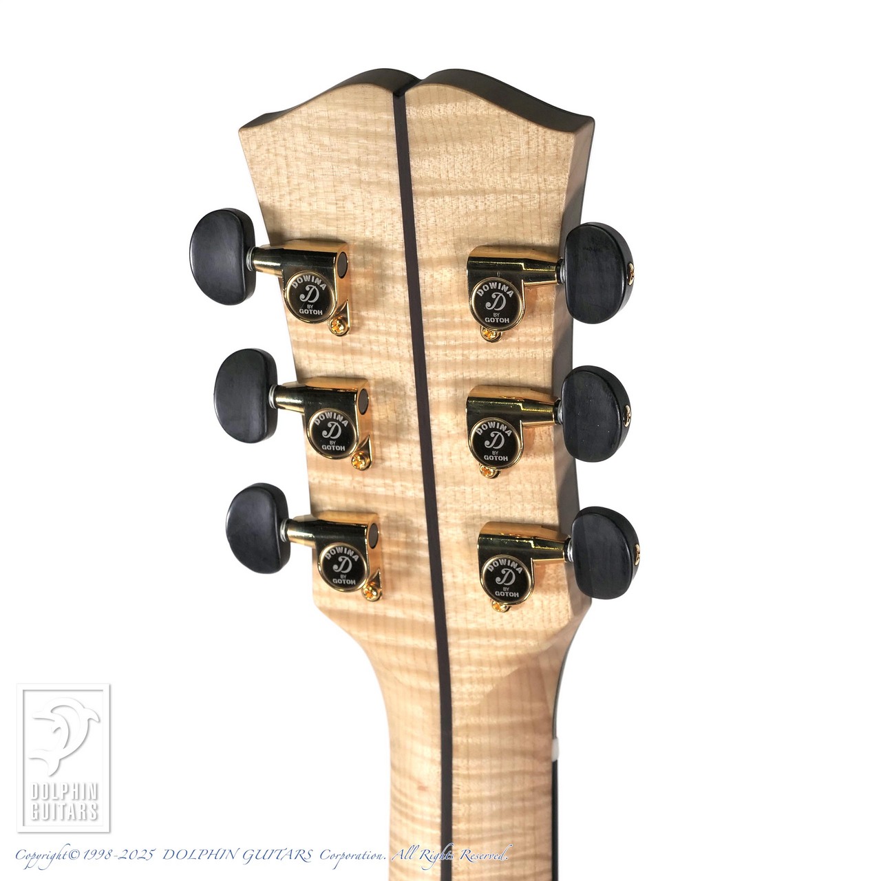Dowina ACERO-GAC-SWS（新品）【楽器検索デジマート】