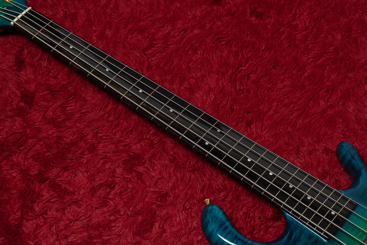 Pedulla Penta Buzz 5 GBS 1999 4.435kg #7292【GIB横浜】（中古/送料