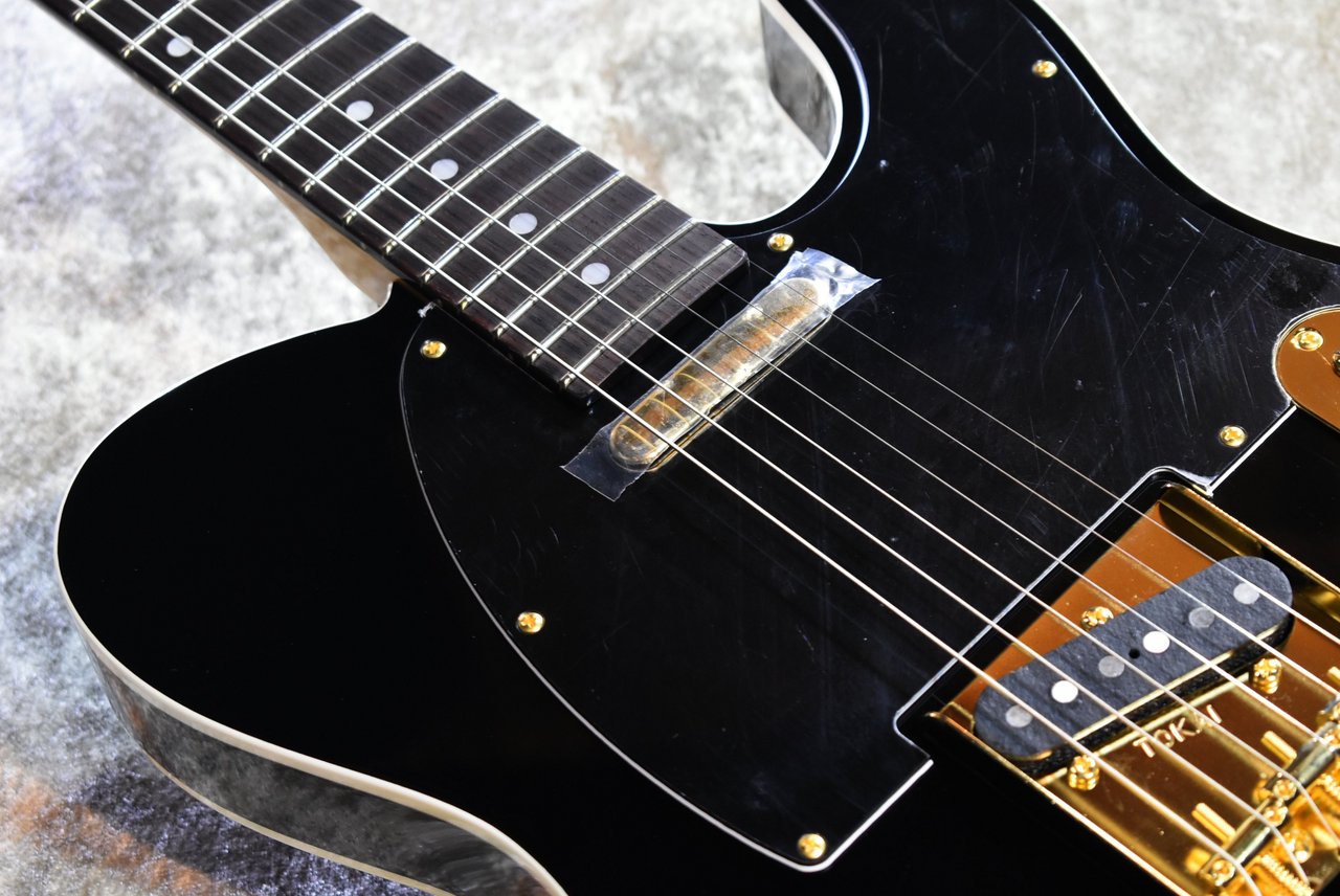 Tokai ATE-101B/G BBR #250631【待望の入荷、漆黒指板、3.69kg】（新品