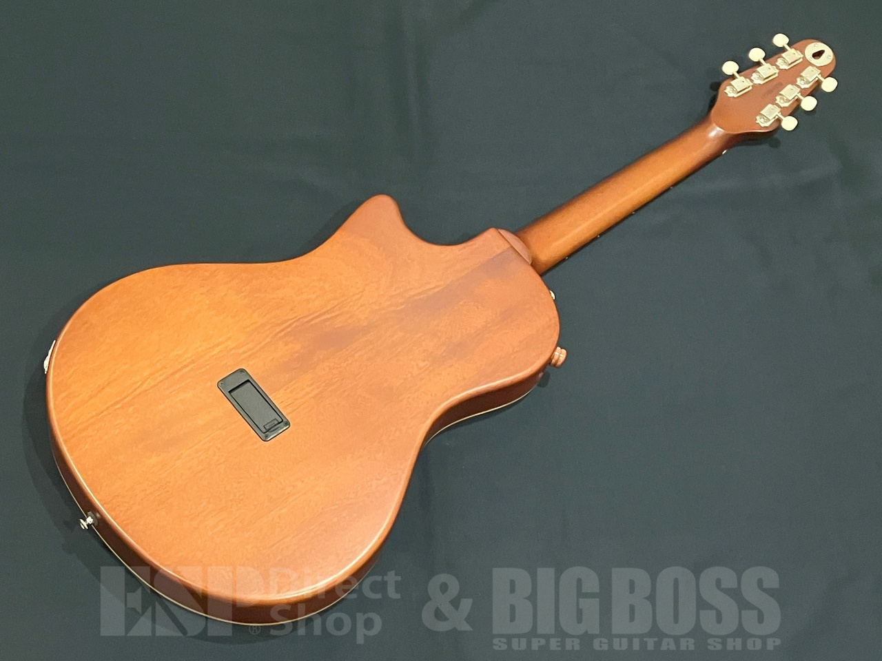 ESP BambooInn-CE バンブーイン エレアコ Char プロデュース ESP/Char