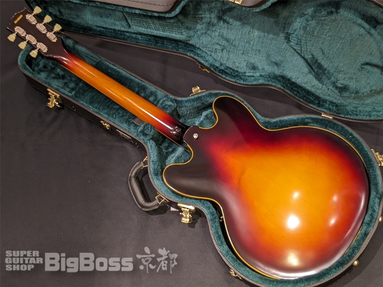 EDWARDS E-SA-STD / Tobacco Sunburst（新品/送料無料）【楽器検索