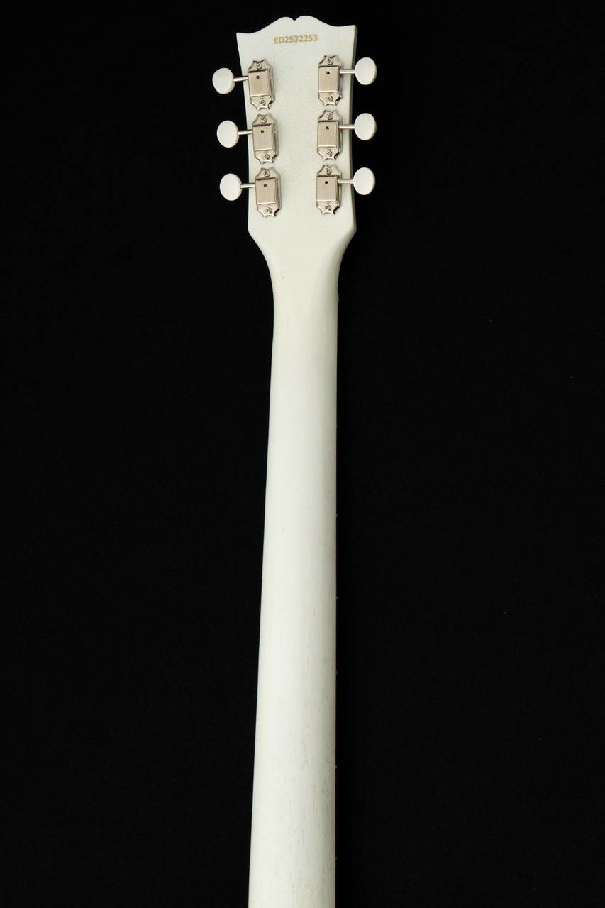 EDWARDS E-SG-JR-LTD -Antique White- #ED2532253 【数量限定生産