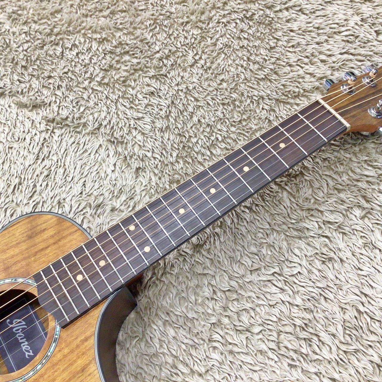 Ibanez EWP14WB / OPN (Open Pore Natural ) 【美品中古