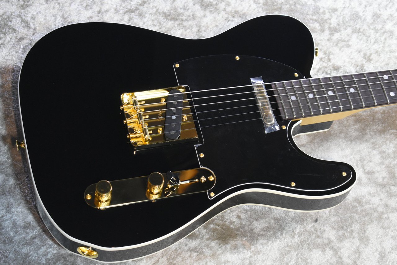 Tokai ATE-101B/G BBR #250631【待望の入荷、漆黒指板、3.69kg】（新品