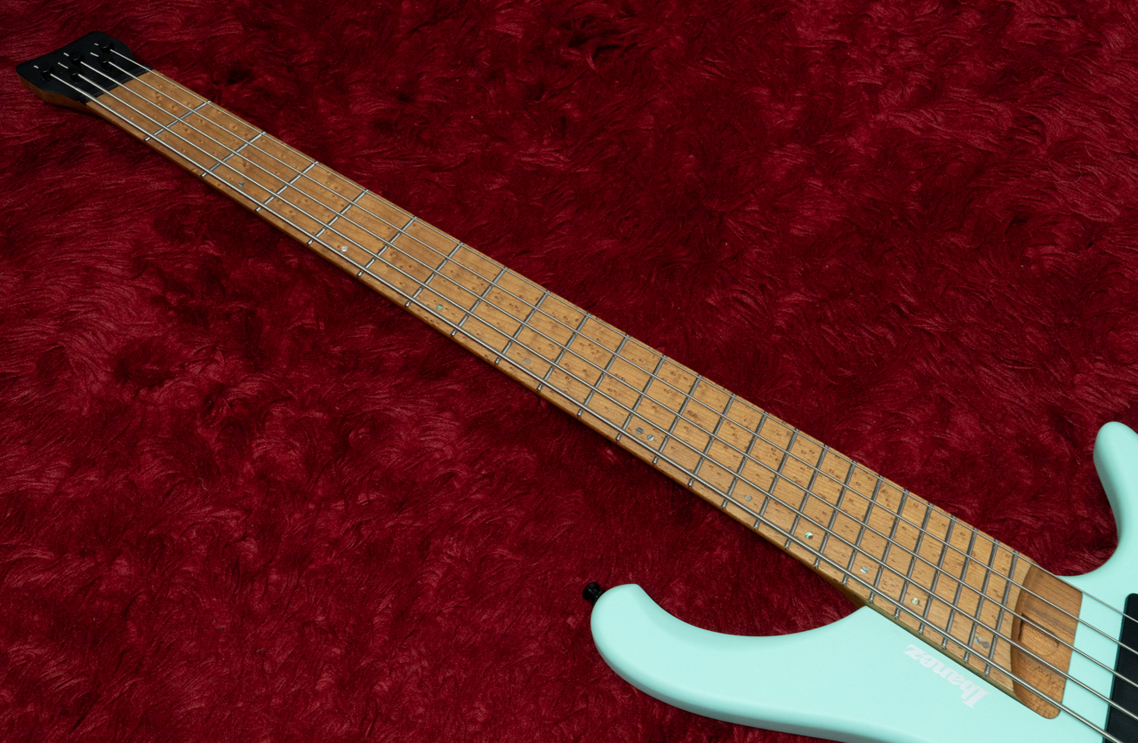 Ibanez EHB 1005MS 改造品 Ibanez EHB1005MS Overhaul | TalkBass.com