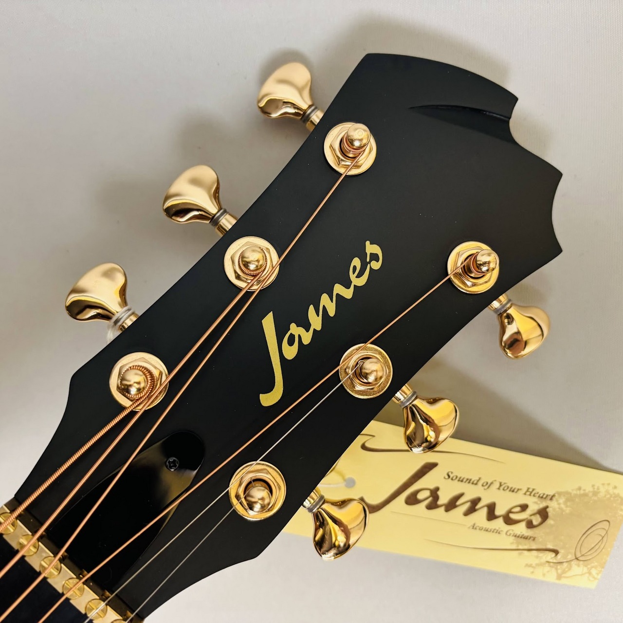 ギター James J-300C II James J-300C II Satin Mahogany エレクトリック