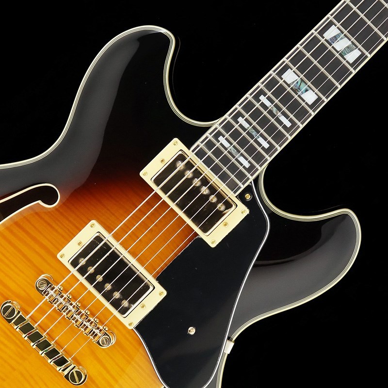 Ibanez JSM10-VYS [John Scofield Model]（新品）【楽器検索デジマート】