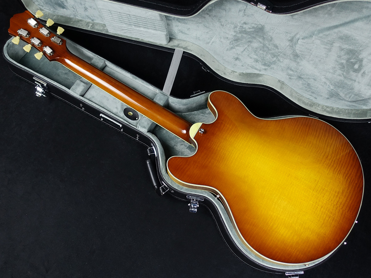 Eastman T486 Goldburst（新品）【楽器検索デジマート】