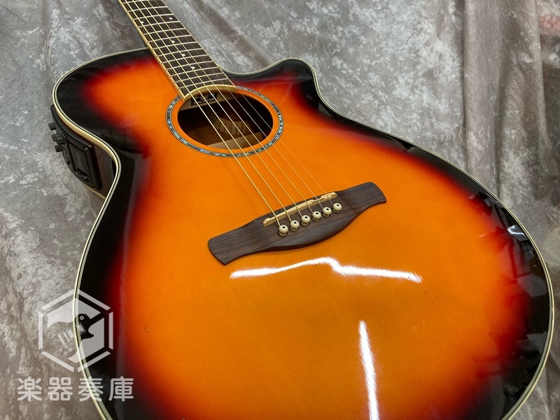 ○Ibanez アイバニーズ AEG10II-TRS エレアコ アコースティックギター ...