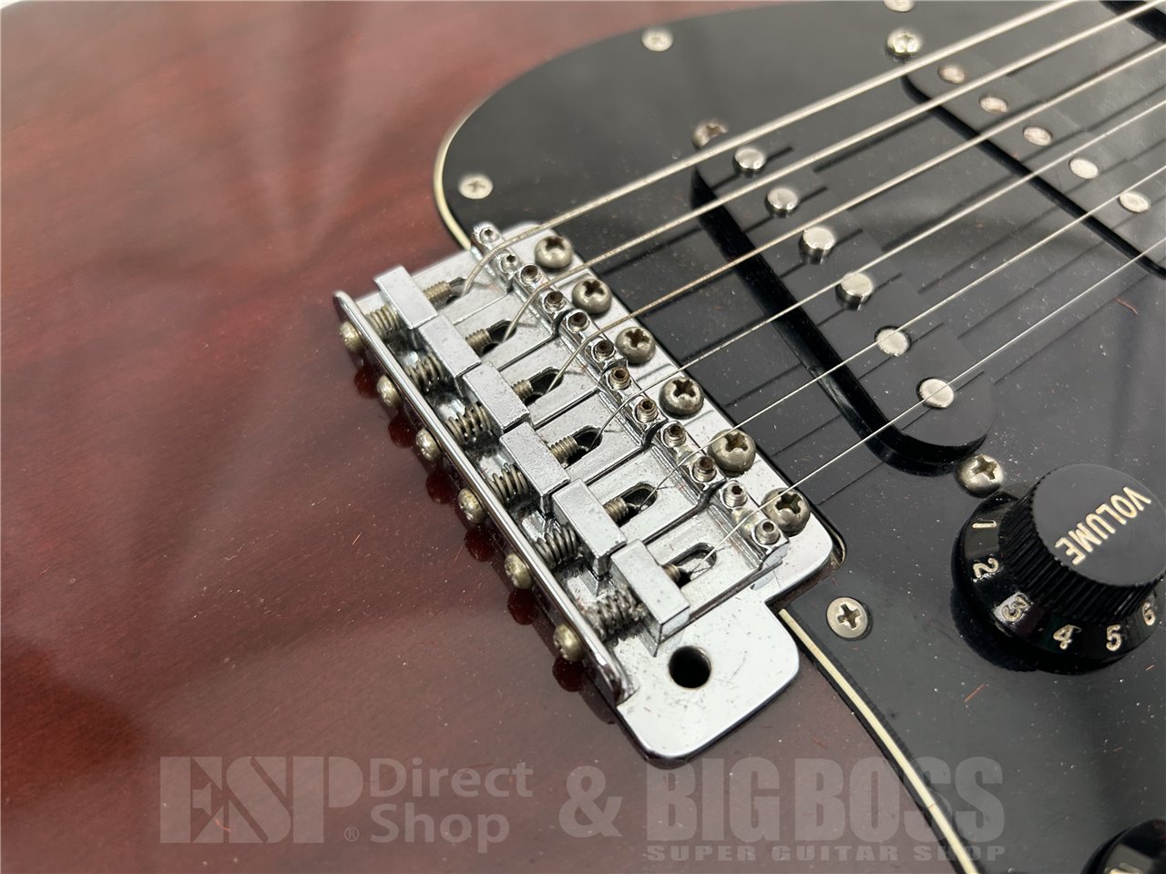 Fender 1979 Stratocaster(Walnut)（ビンテージ/送料無料）【楽器検索