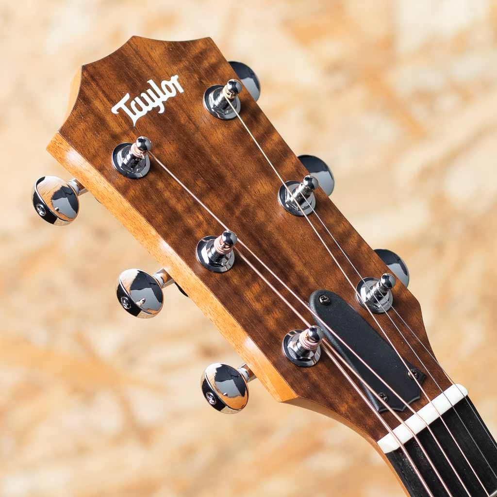 Taylor 24ce（新品）【楽器検索デジマート】