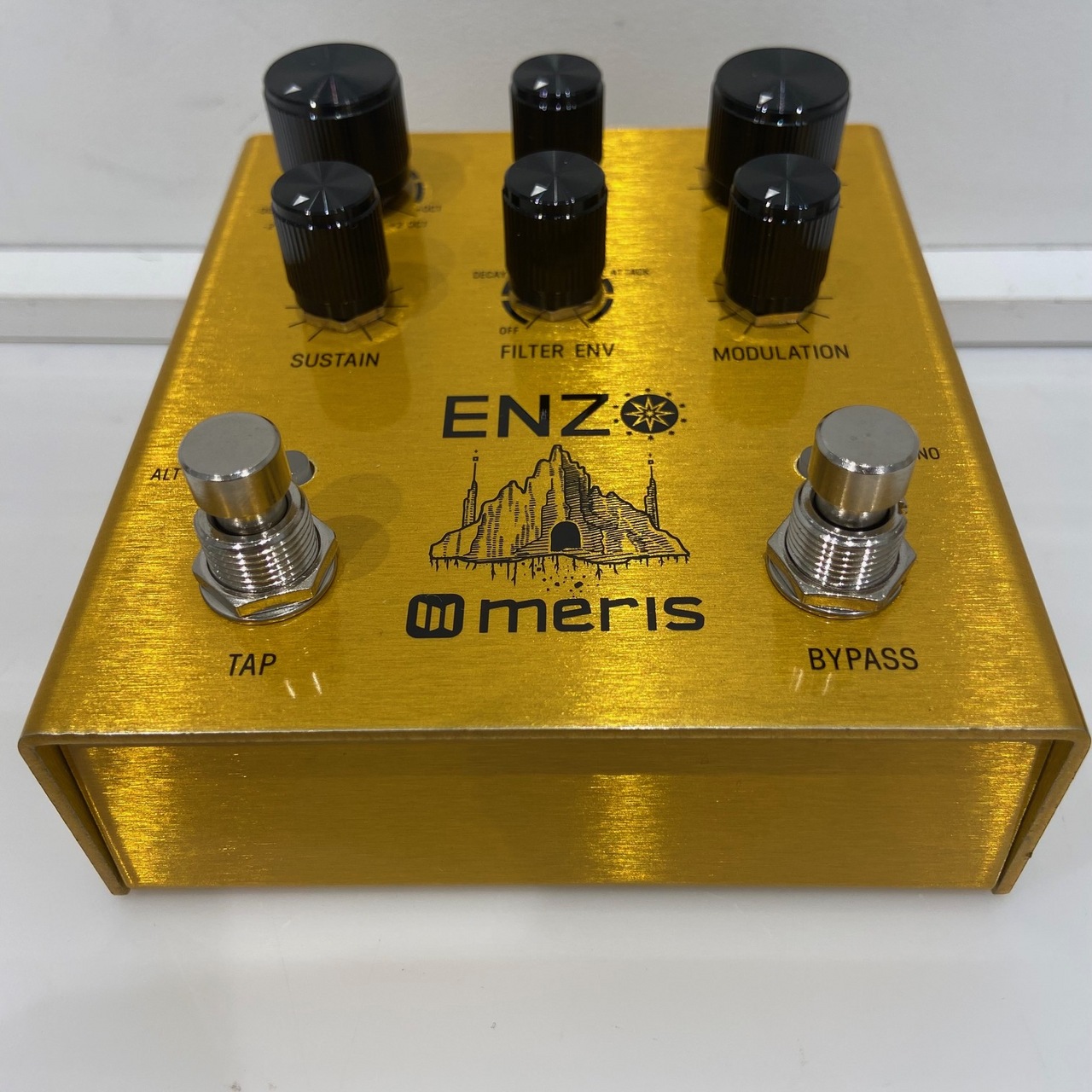 meris ENZO マルチボイス・シンセサイザー Enzo - ミュージカルインストゥルメント -ミックスウェーブ株式会社