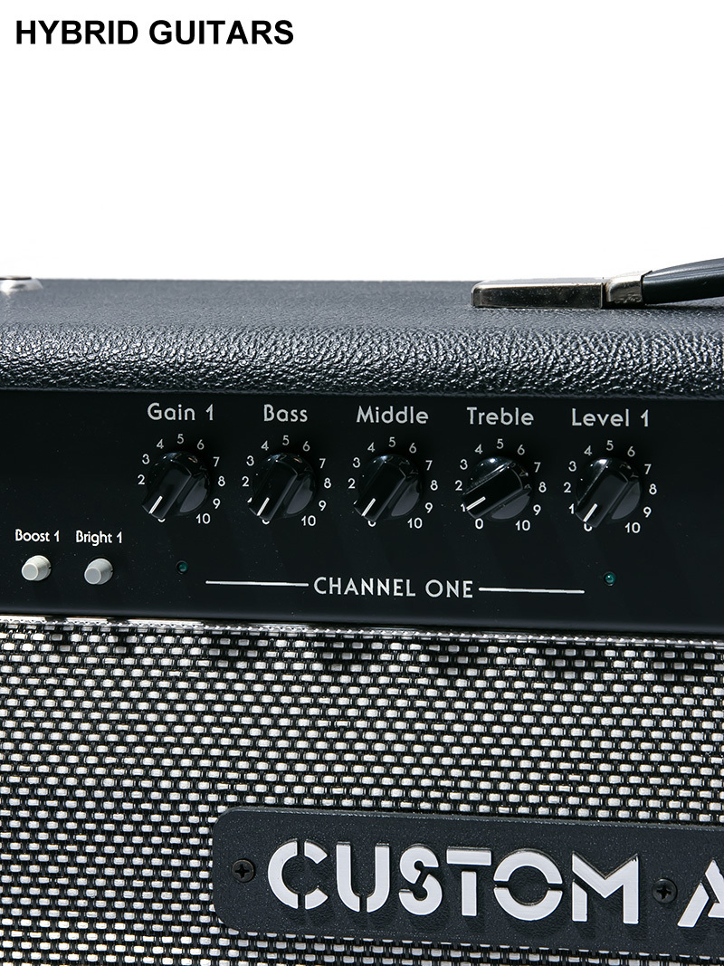 国内外の人気が集結 Custom Audio Amplifiers OD100用コンボキャビ