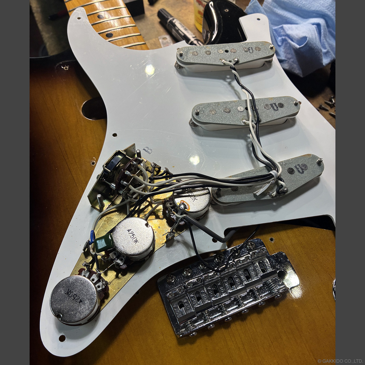 Tokai ST-50 GS (1981)（ビンテージ/送料無料）【楽器検索デジマート】