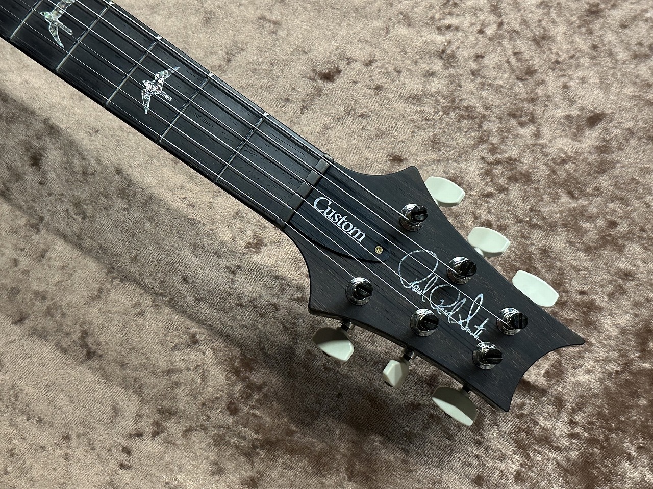 Paul Reed Smith(PRS) Wood Library Custom 24 -Teal Black(Stained
