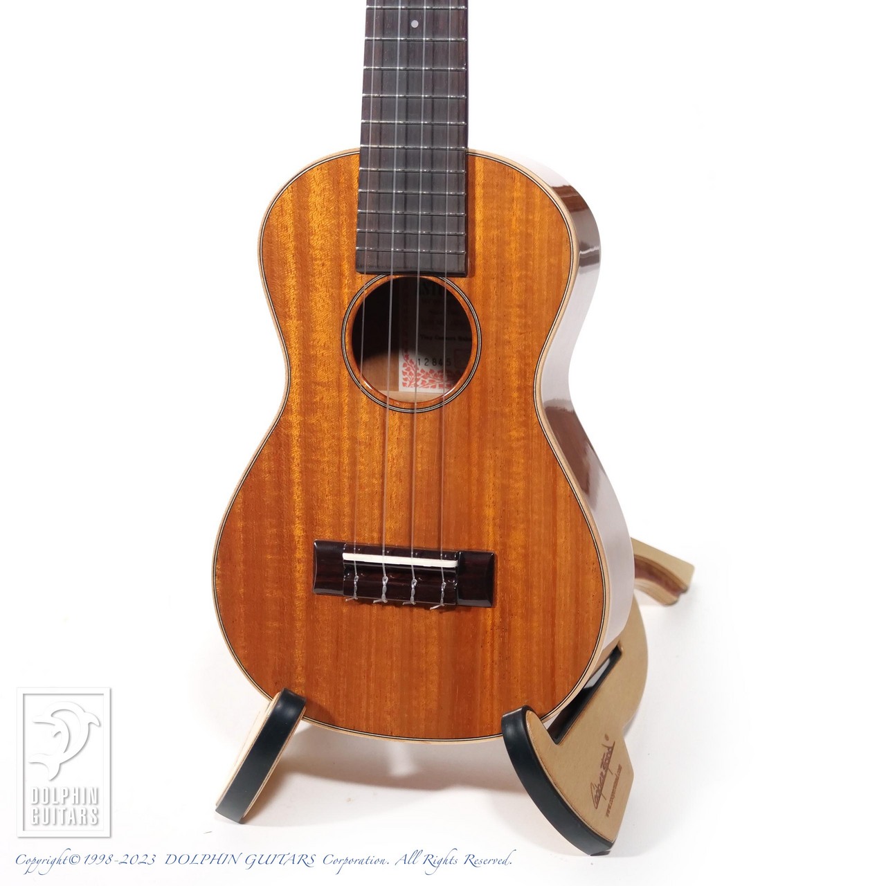 ASTURIAS Tiny Concert Maho（新品）【楽器検索デジマート】