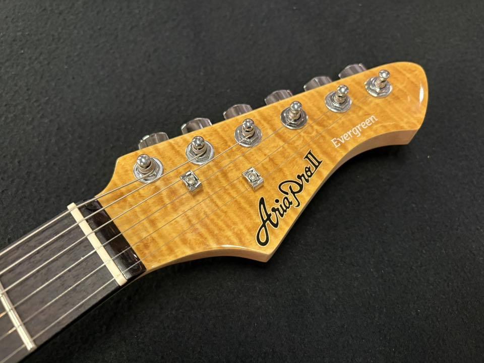 Aria Pro II Aria-Evergreen 714-AE200 YG(Yellow Gold)（新品