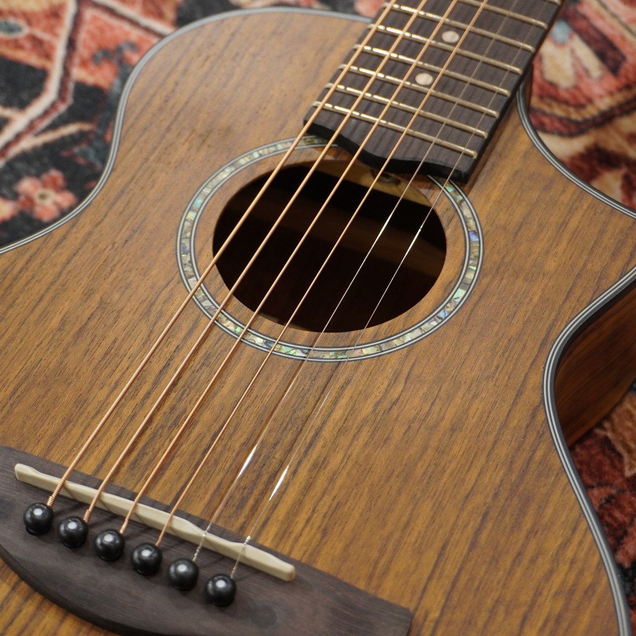 Ibanez EWP14WB-OPN (Open Pore Natural)【WINTER SELECTION特価