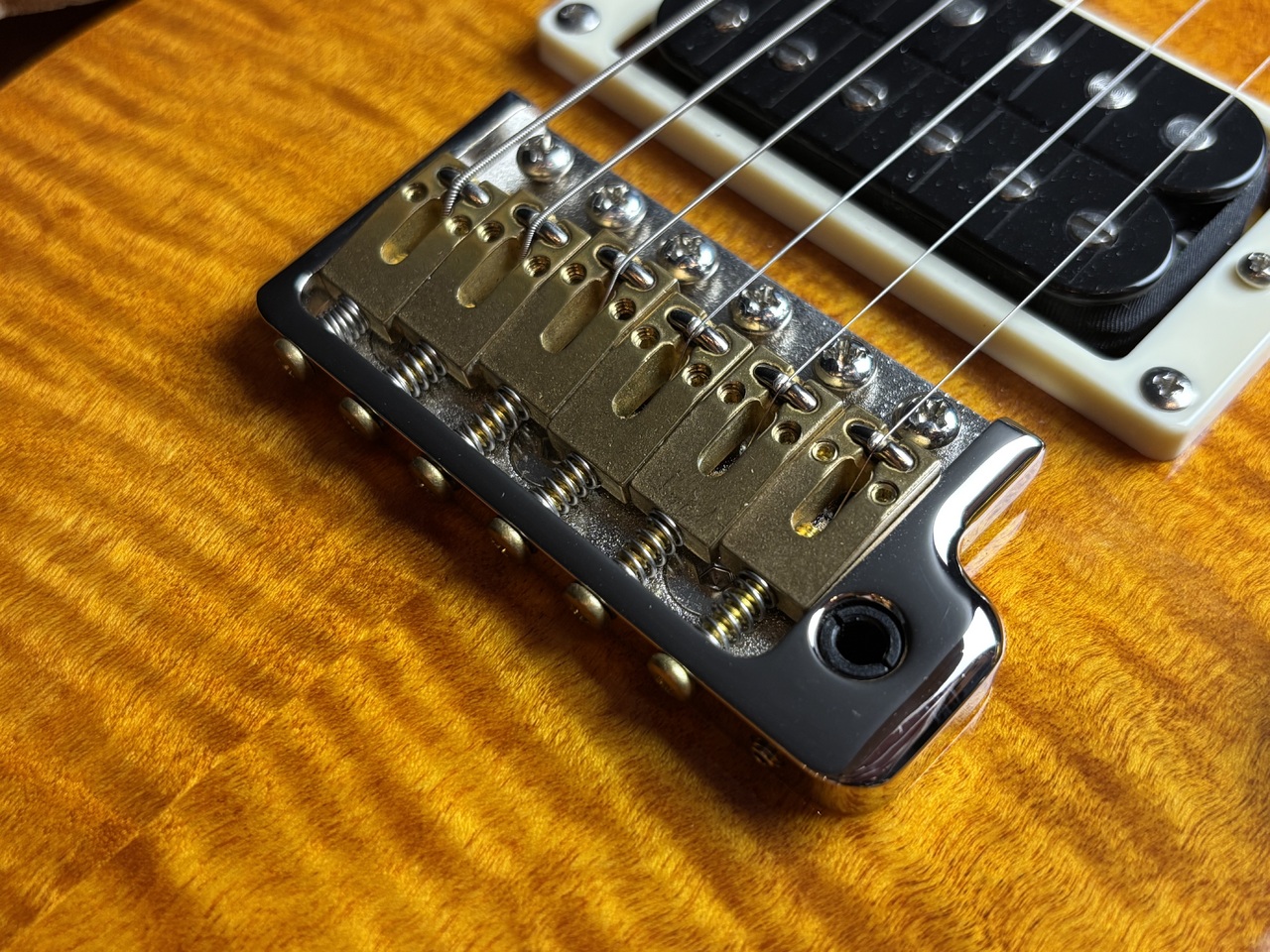 Paul Reed Smith(PRS) SE Custom 24 Semi-Hollow Piezo（中古）【楽器