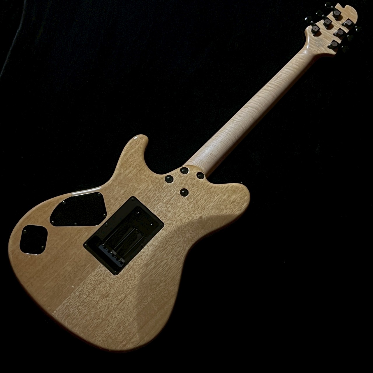 Sugi DS496E BUE/FM/KORINA/NAT Blue Resin【現物写真】【現物サウンド