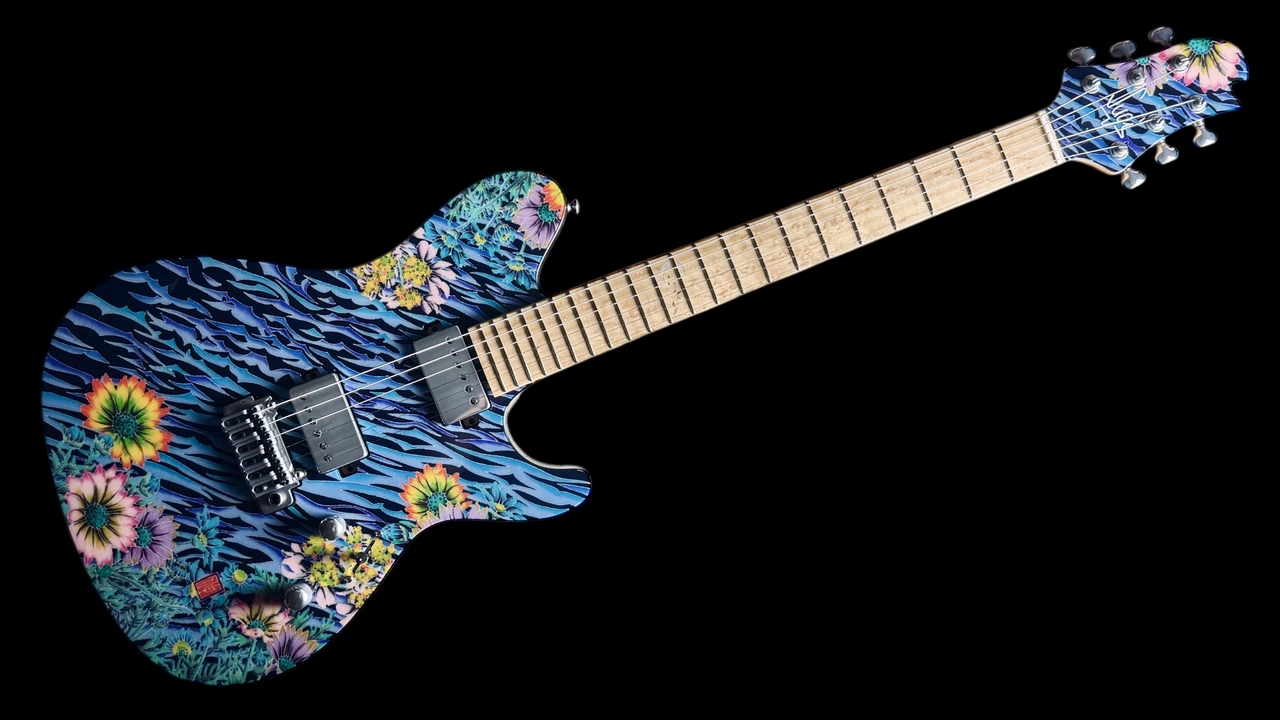 ギター Sugi DS496IR Sugi DS496IR EM/HM A-MAHO2P 【現物画像】【3.95kg