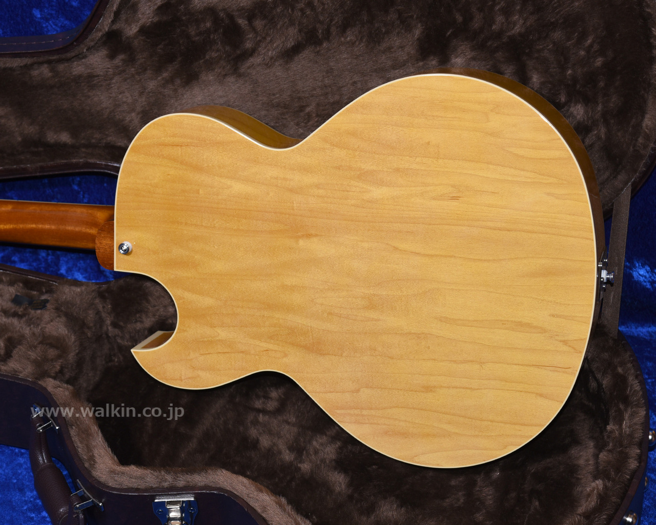 Archtop Tribute AT105（新品）【楽器検索デジマート】