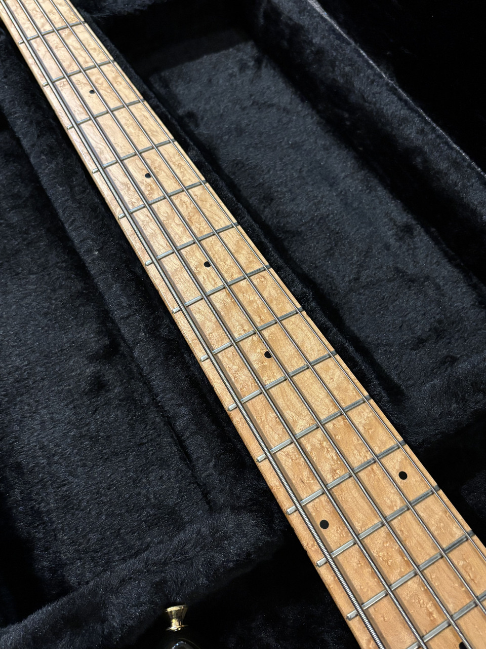 Fodera NYC Empire 5 Strings Quilted Maple（中古）【楽器検索