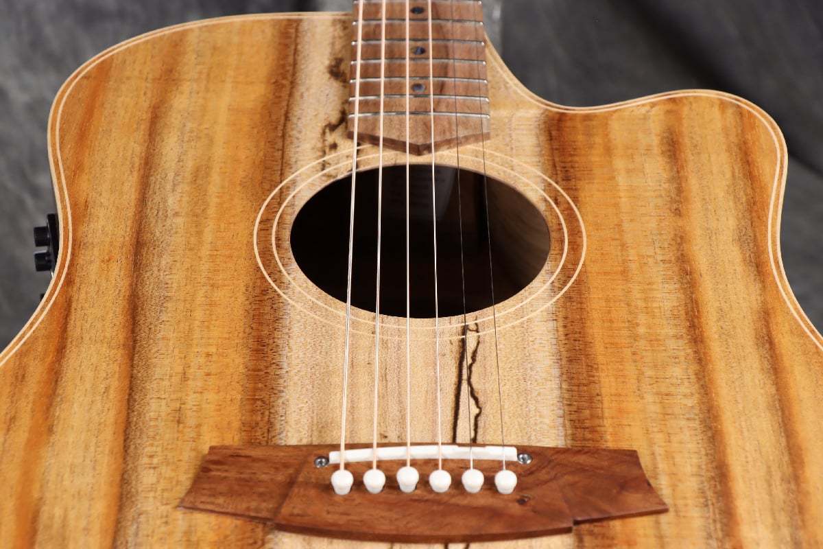 Cole Clark Touring Series CCFL2EC-BLBL All Blackwood コール