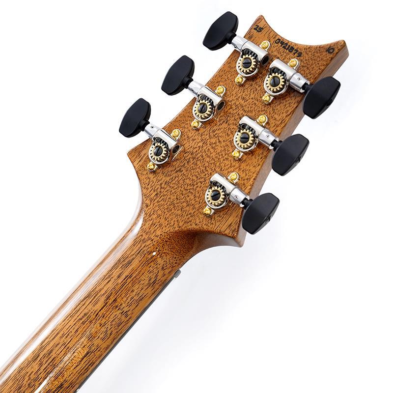 Paul Reed Smith(PRS) Custom 24 10 Top (Custom Color) SN.0421879