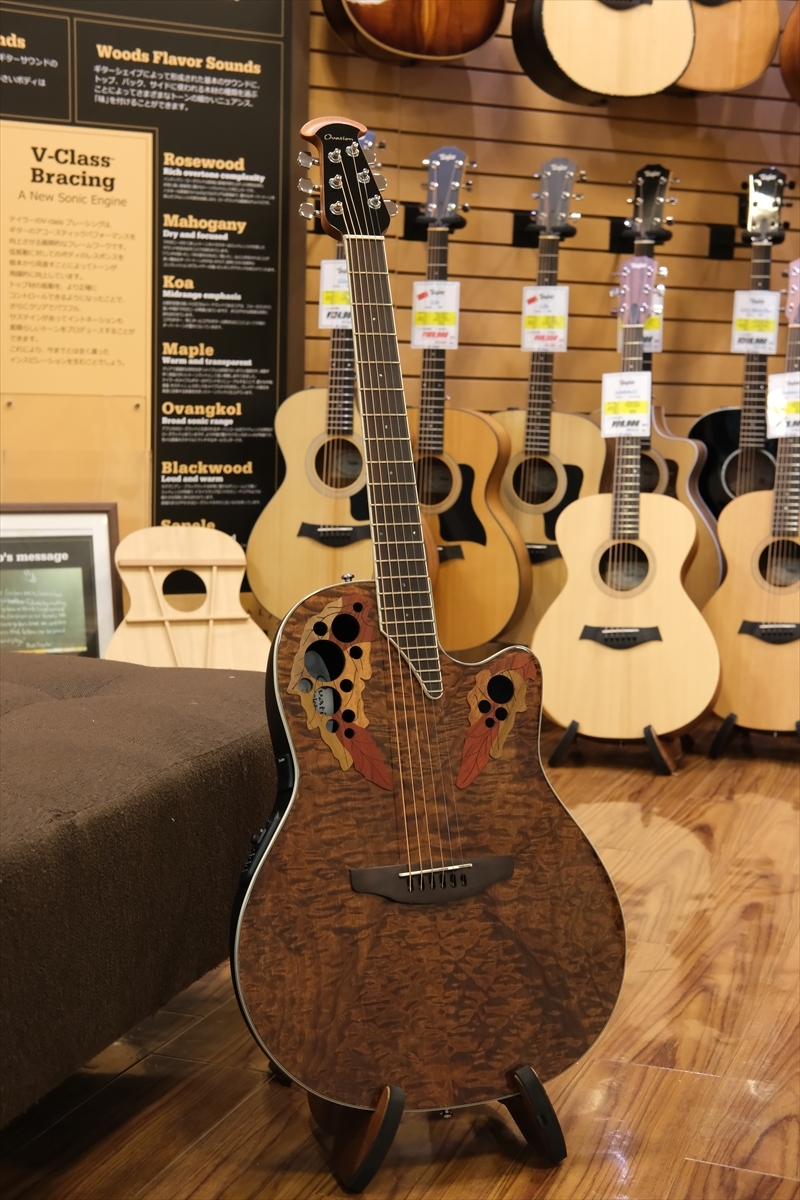 Ovation CE48P-TGE-G（新品/送料無料）【楽器検索デジマート】