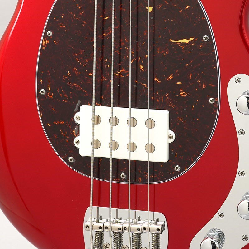 MUSIC MAN StingRay Special 1H (Candyman / Ebony) 【特価】 【初売り