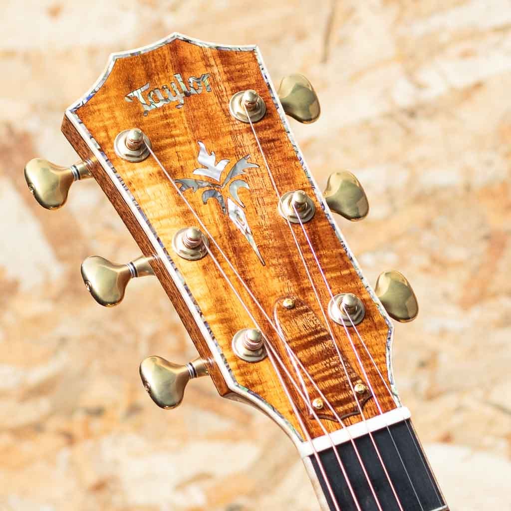 Taylor Grand Auditorium Custom -MIKI 200th Anniversary-（新品