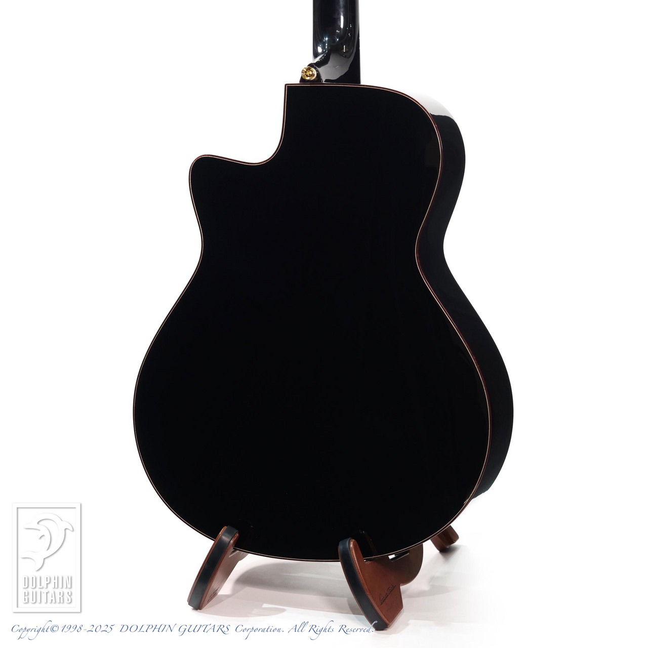 Morris R-18 Black Edition（新品）【楽器検索デジマート】