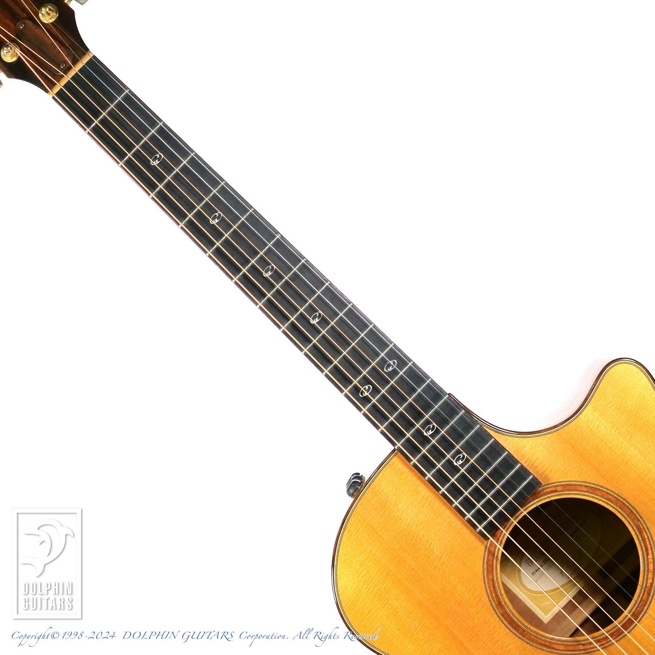 Taylor 514ce LTD Fall Limited Edition（中古）【楽器検索デジマート】