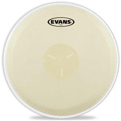 EVANS EVANS ボンゴ ヘッド EB0709 / 7-1/4 8-5/8 BONGO PK（新品/送料