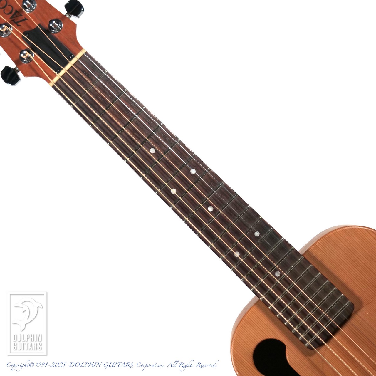 Tacoma Pー1 美品アコースティックギター スモールボディ TACOMA P-1