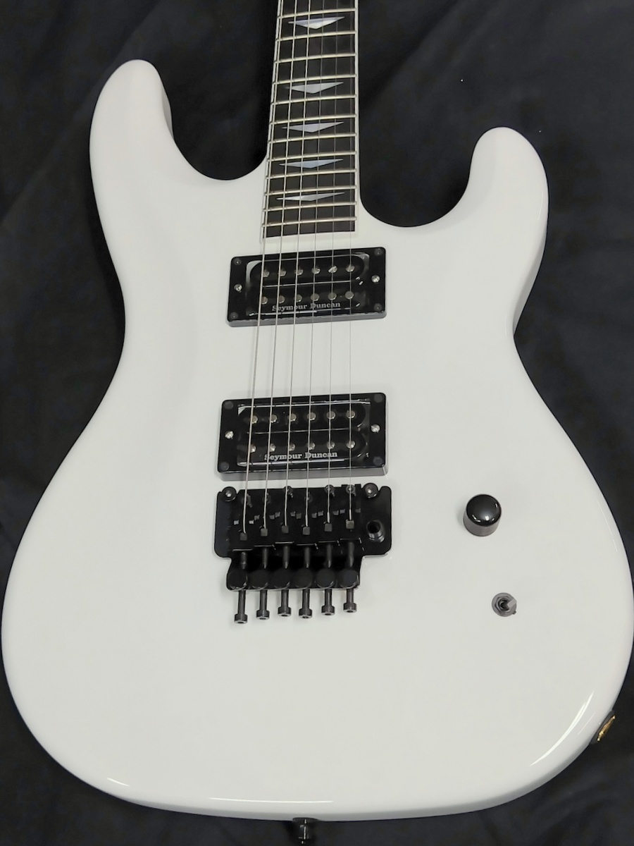 ARIAPROⅡ　RS-CUSTOMⅡ AriaProII RS-CUSTOM 《送料・代引き手数料無料》 : 盛幸堂楽器