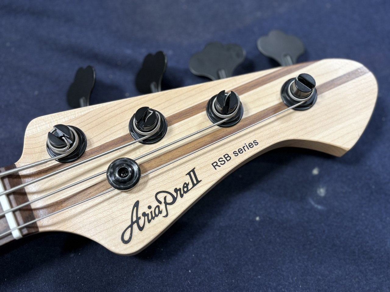 Aria Pro II RSB-700WP N【送料無料/即納可能】（新品/送料無料