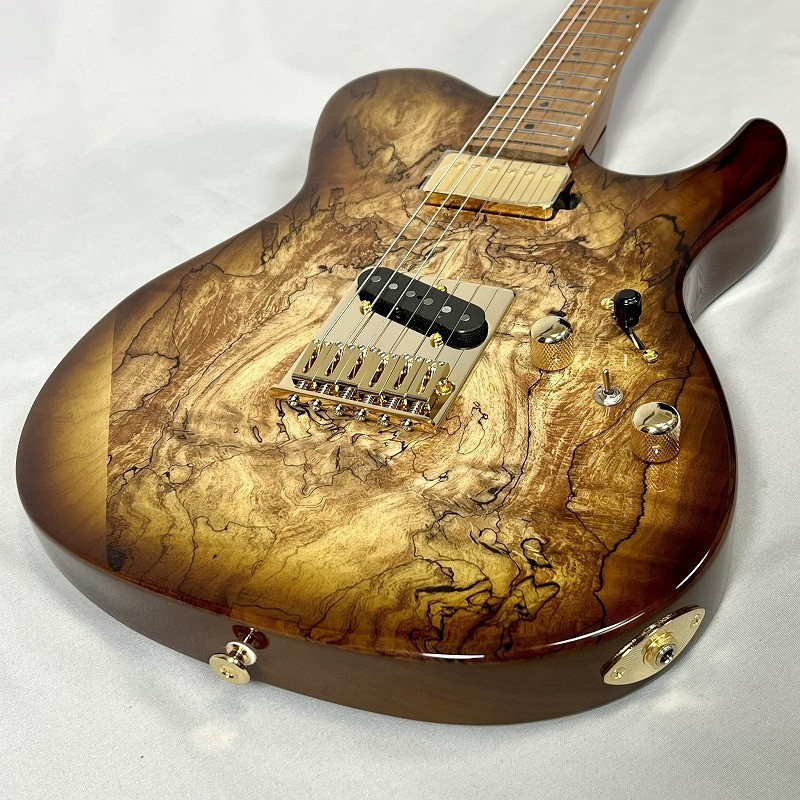 FUJIGEN(FGN) Expert ILIAD EIL-EW1-HS-RM/HCB (Hojicha Burst